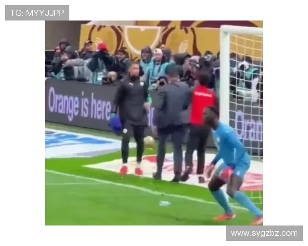 门迪毛巾被抢反被说没体育精神