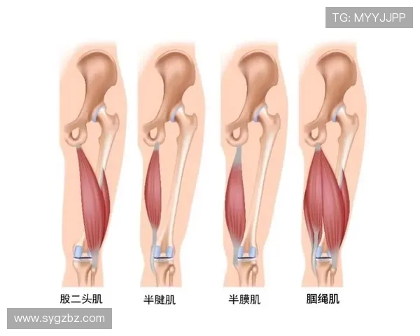皇马官方：卡瓦哈尔右腿前十字韧带、外侧副韧带、腘绳肌腱断裂